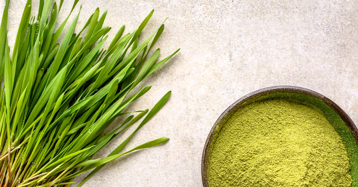 Barley Grass Extract: The Green Superfood you don’t want to ignore 